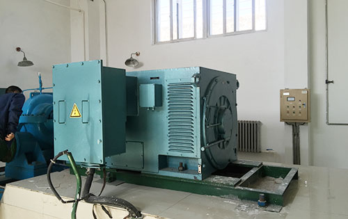南乐某水电站工程主水泵使用我公司高压电机品质保证